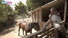 Jouer Parodie porno avec une blonde baisée par un cheval - Films porno
