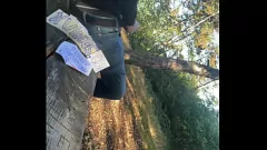 Play Outdoor Public Masturbation in the City: Young Amateur's Handjob Orgasm